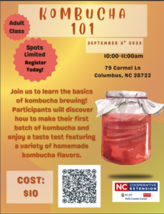 Cover photo for Kombucha 101